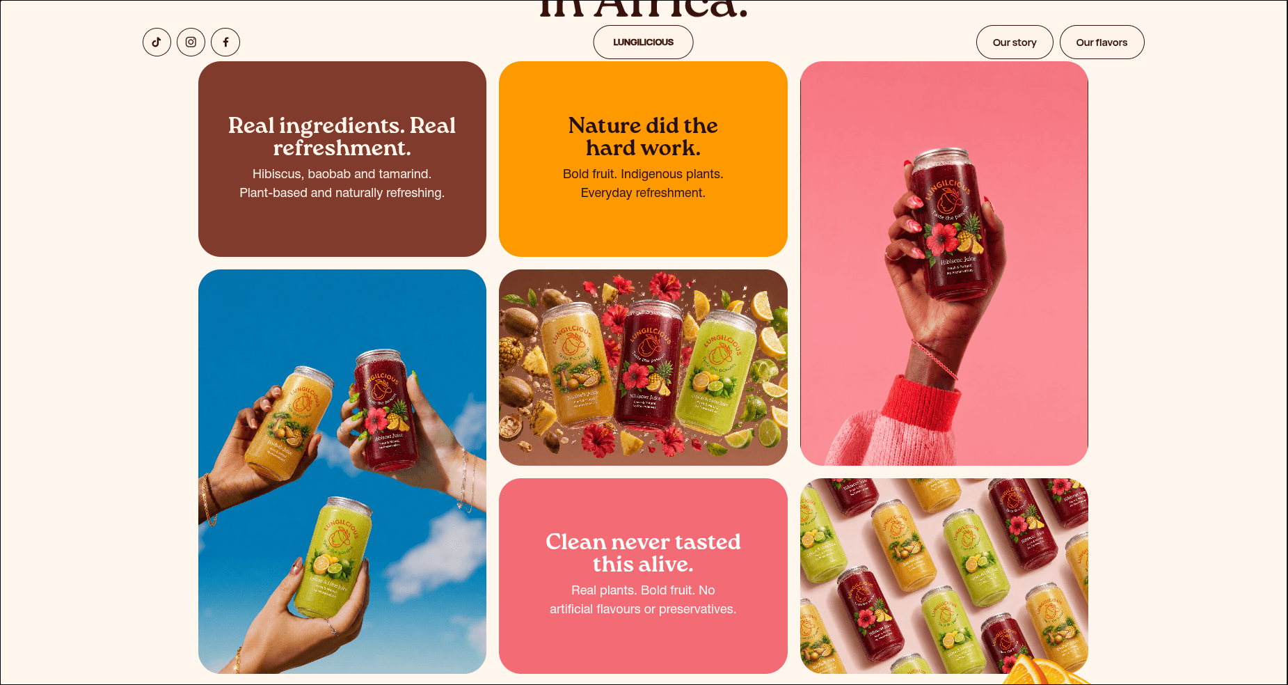 Lungilicious flavour and product content